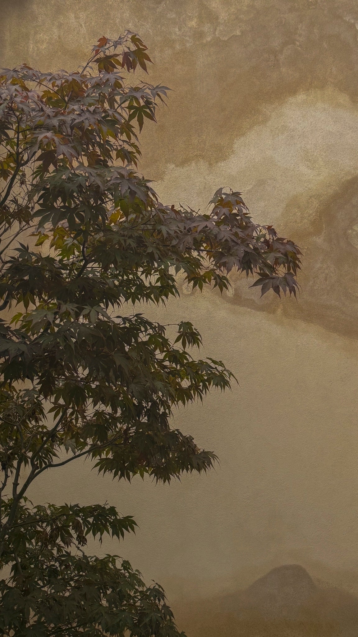 Tailored Straight-Leg Trousers